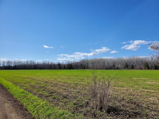 tbd Wildflower Lane NE, Blackduck, MN 56630
