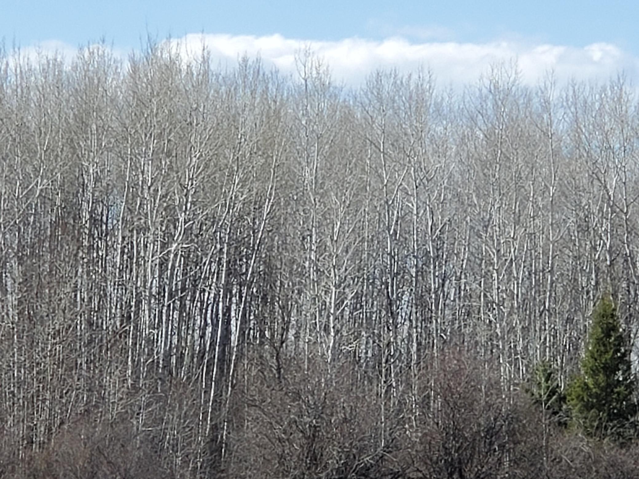20260507_162954.jpg