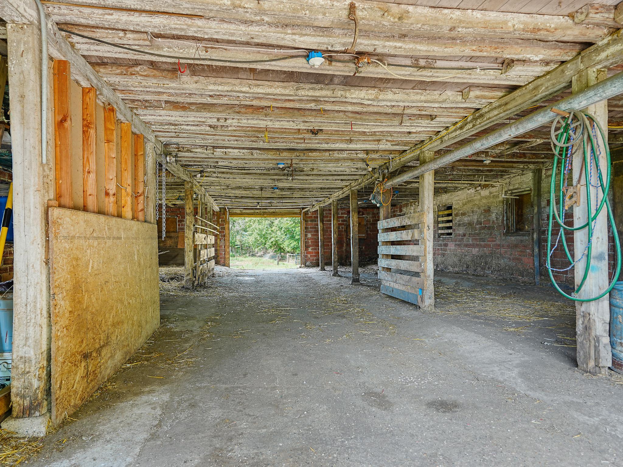 Photo 49