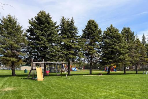 Back yard