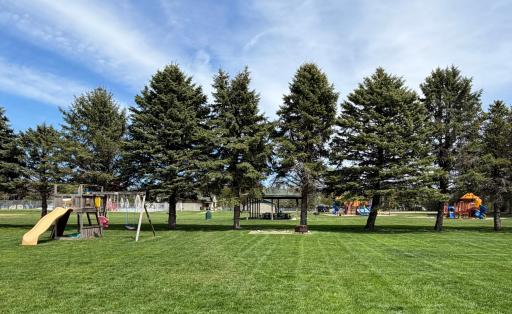 Backyard is next to city park
