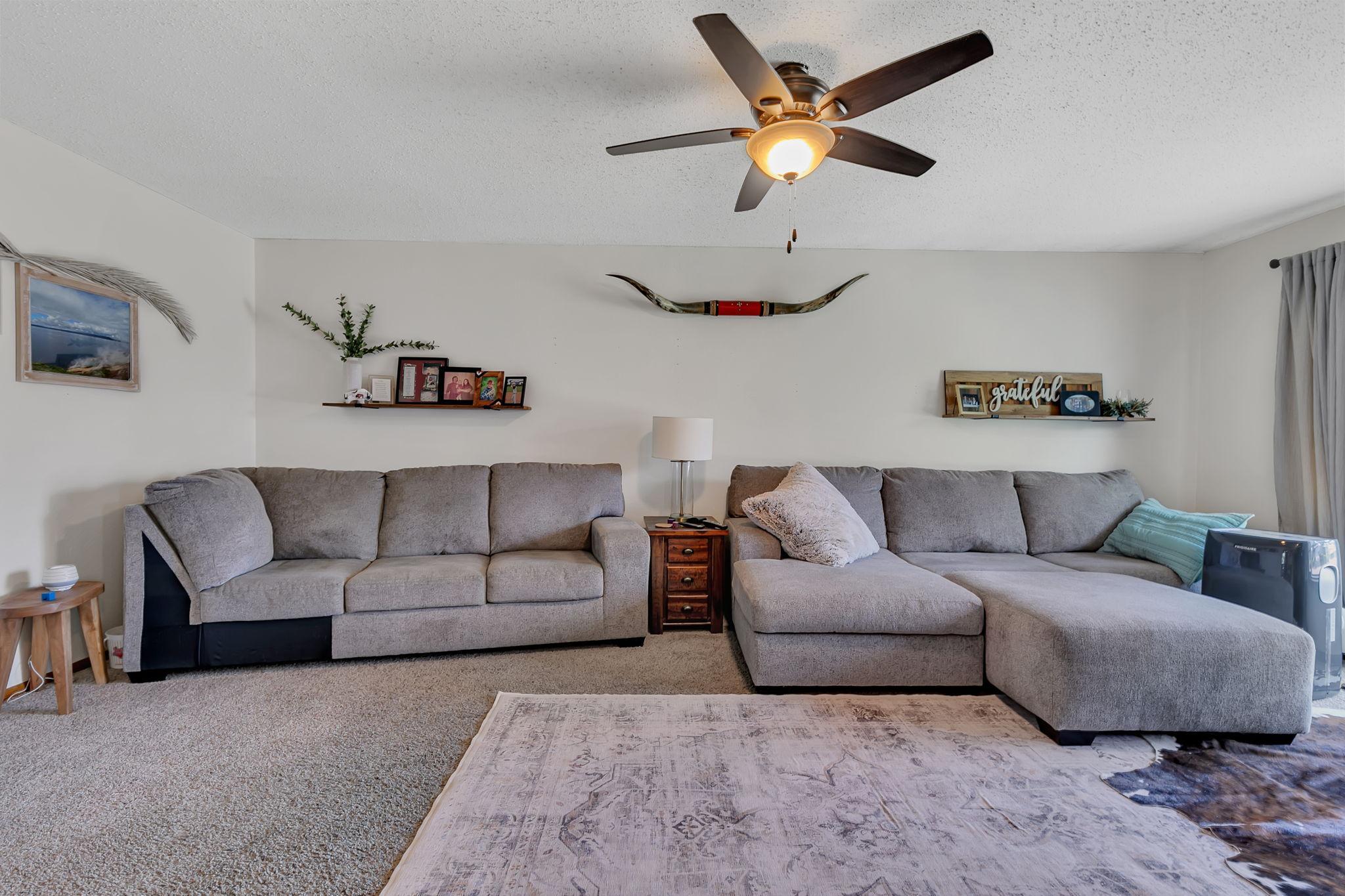 Living Room - main level