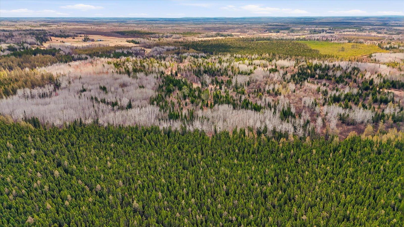 04-DJI_20260513112758_0070_D.jpg