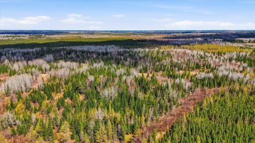 8849 Hwy 25, Angora, MN 55703