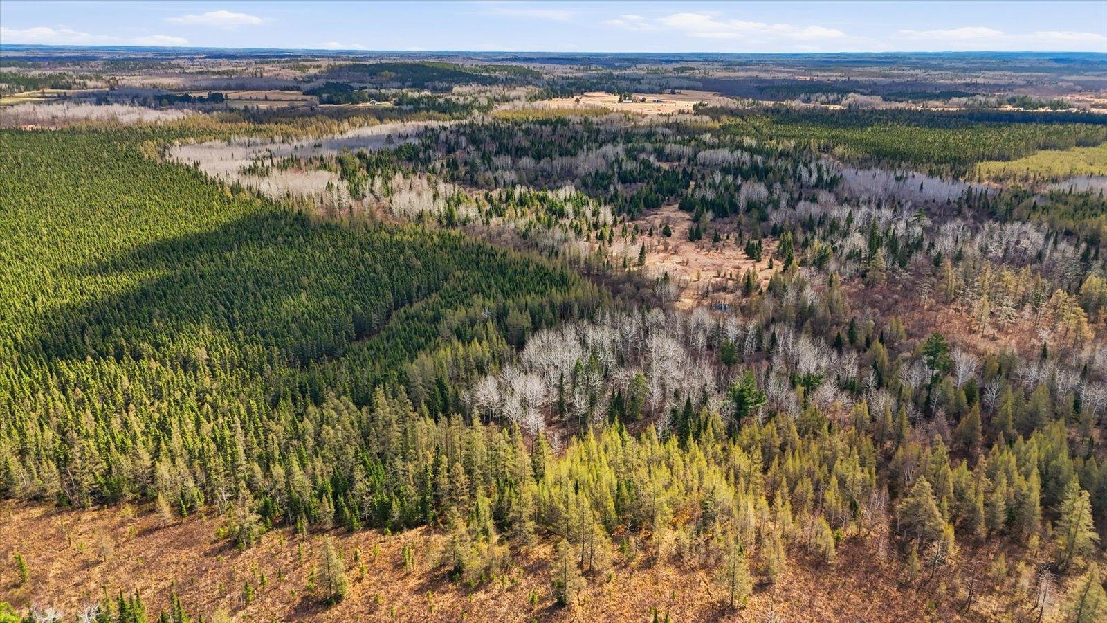 05-DJI_20260513112931_0075_D.jpg