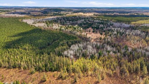 8849 Hwy 25, Angora, MN 55703