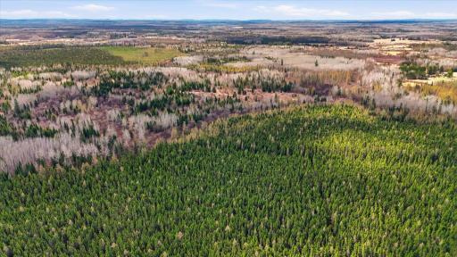 8849 Hwy 25, Angora, MN 55703