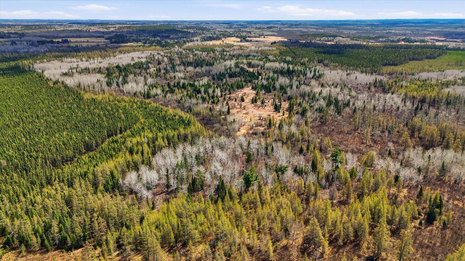 02-DJI_20260513112552_0060_D.jpg