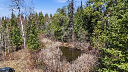 8849 Hwy 25, Angora, MN 55703