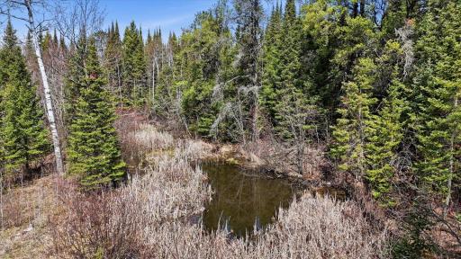 8849 Hwy 25, Angora, MN 55703