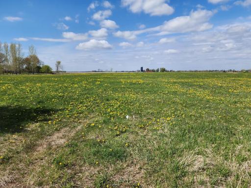 7160 149th Street, Milaca, MN 56353