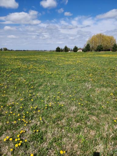7160 149th Street, Milaca, MN 56353