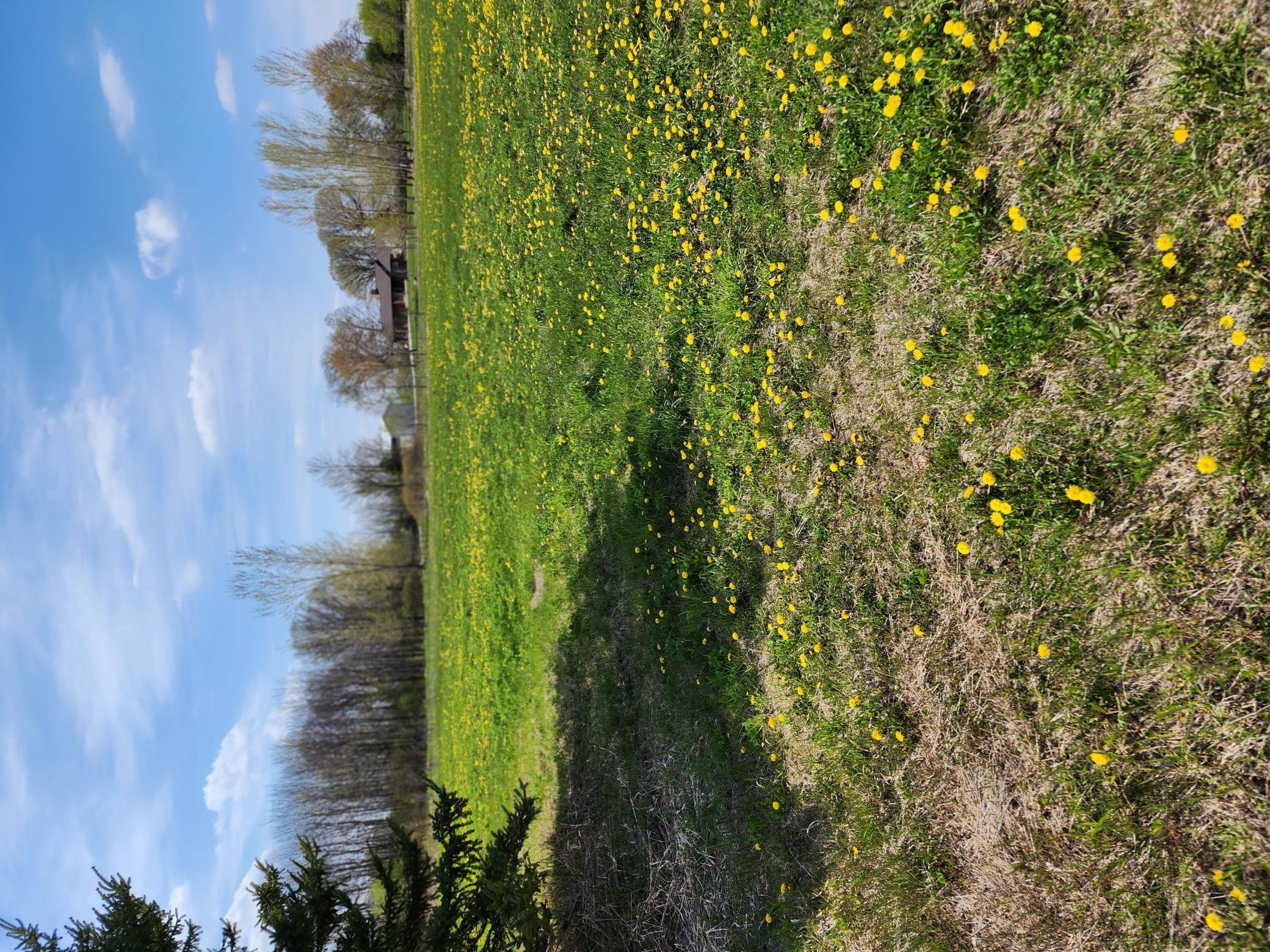 232.jpg