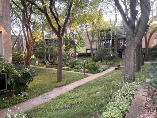 Shared Out Garden
