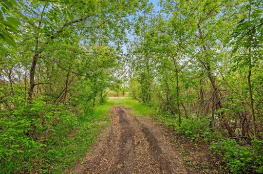 5487 Kahler Drive NE, Albertville, MN 55301