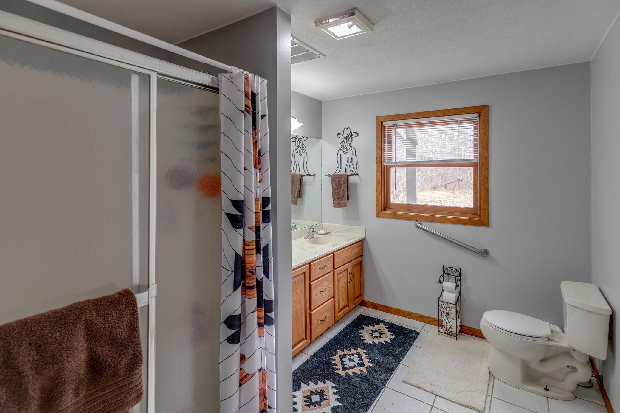 Lower Level Bathroom