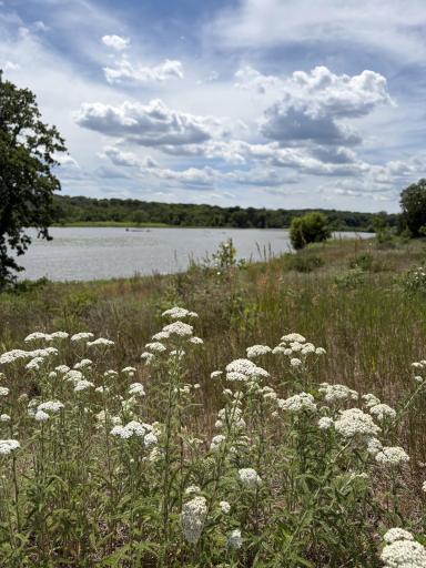 Views from the Mississippi Dunes Park Reserve trail, just steps away from the neighborhood!