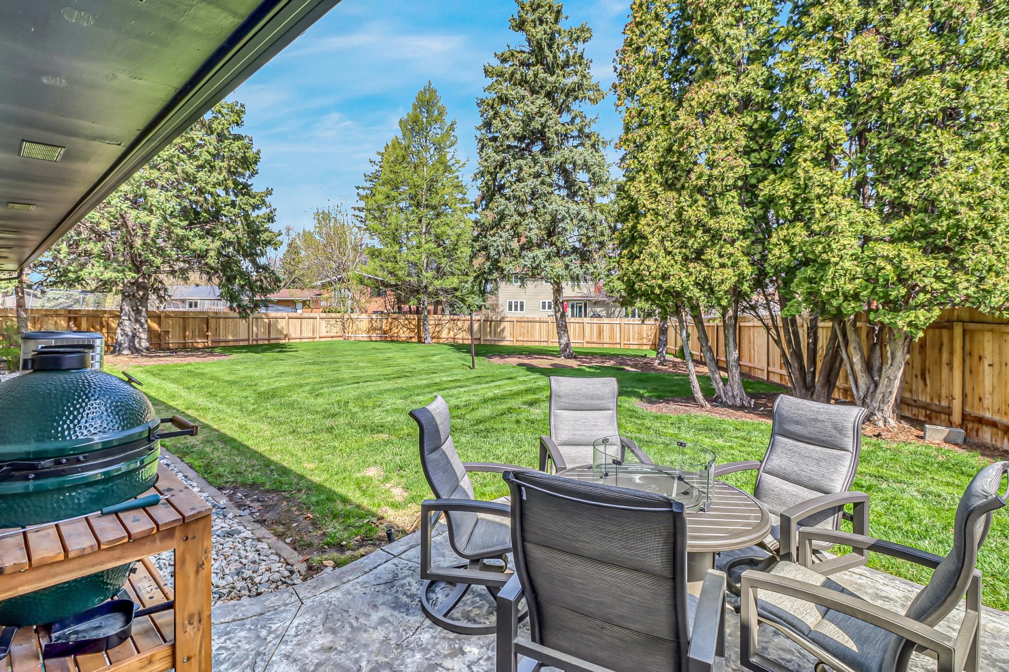 Backyard1_0.jpg