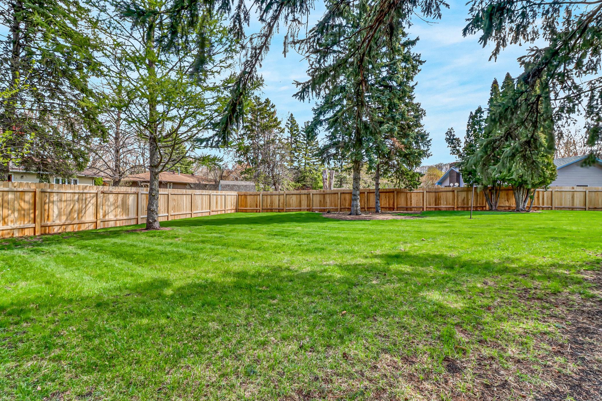 Backyard1_4.jpg