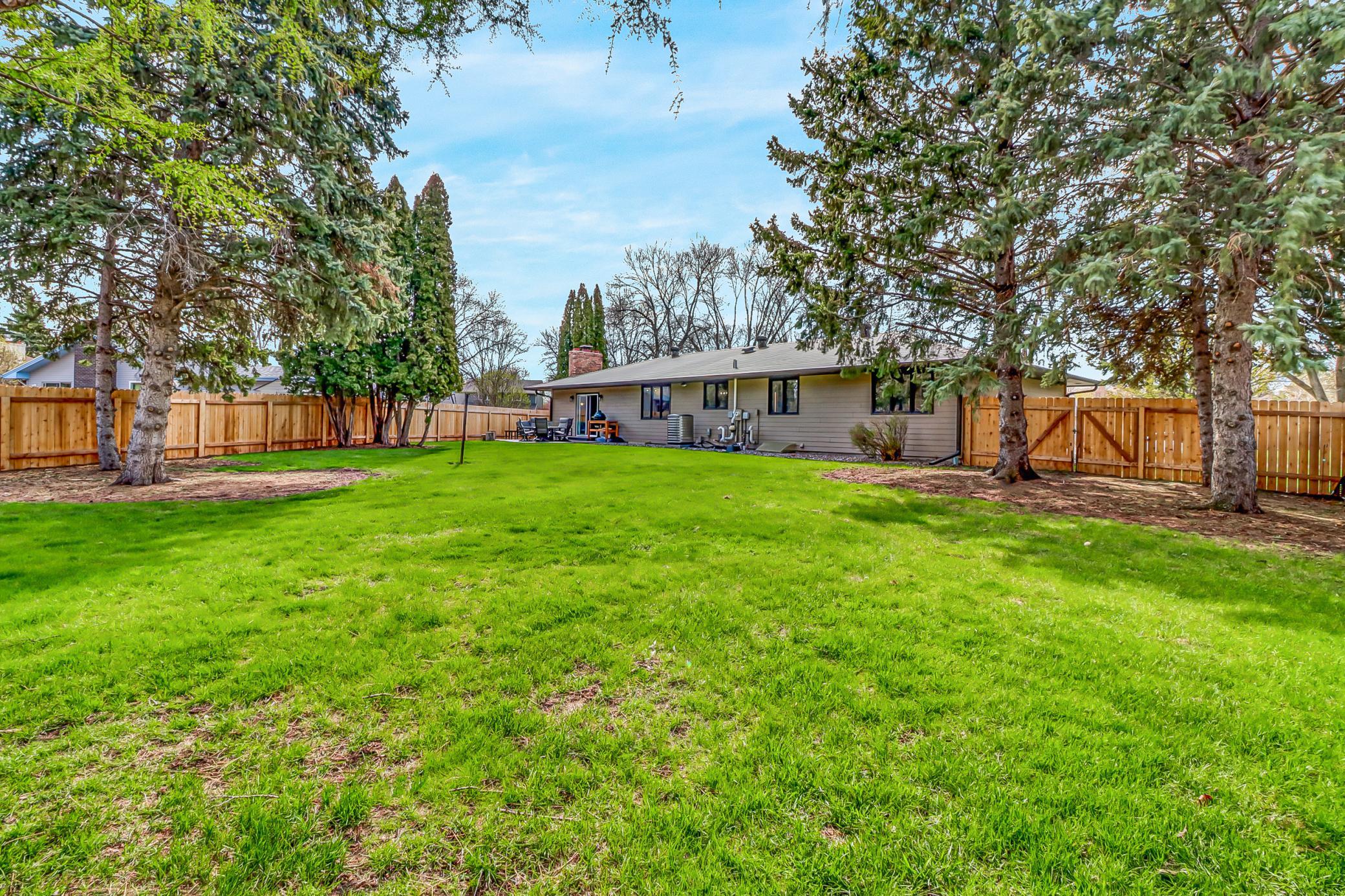Backyard1_3.jpg