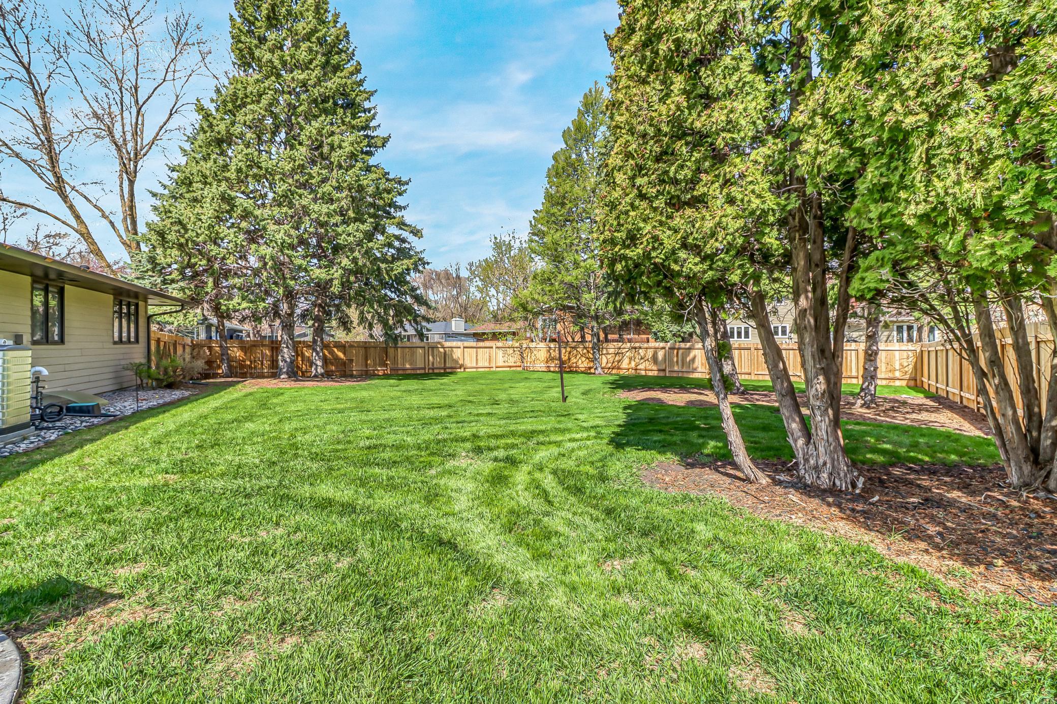 Backyard1_1.jpg