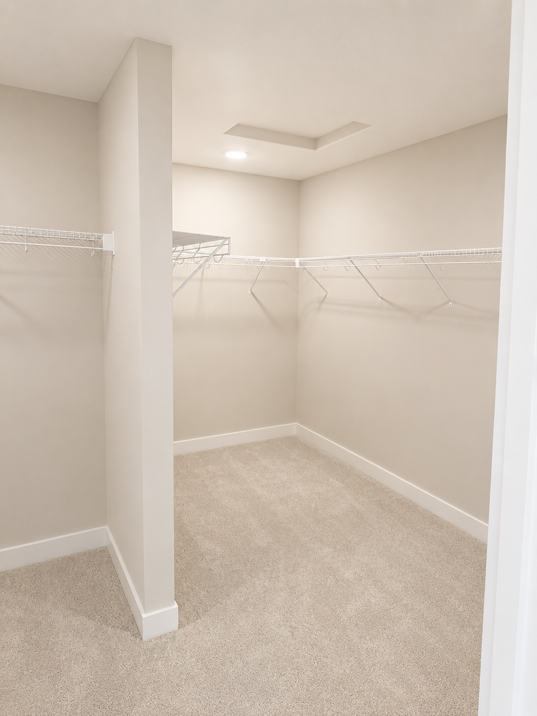Owner's double walk-in closet