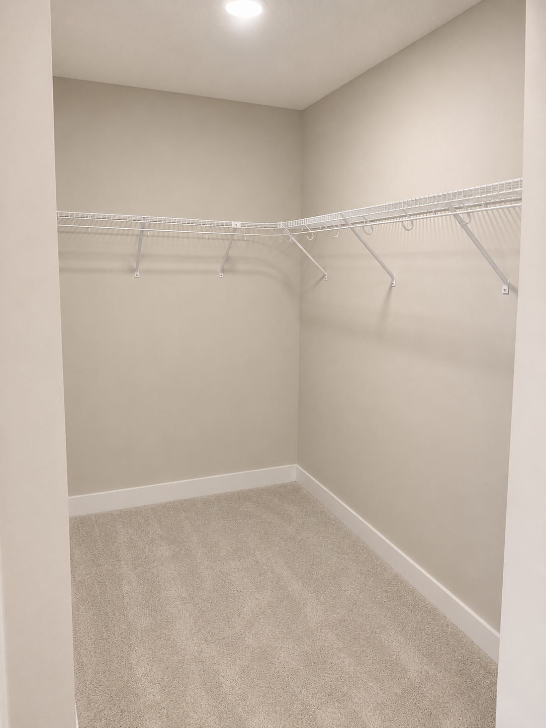 Owner's double walk-in closet