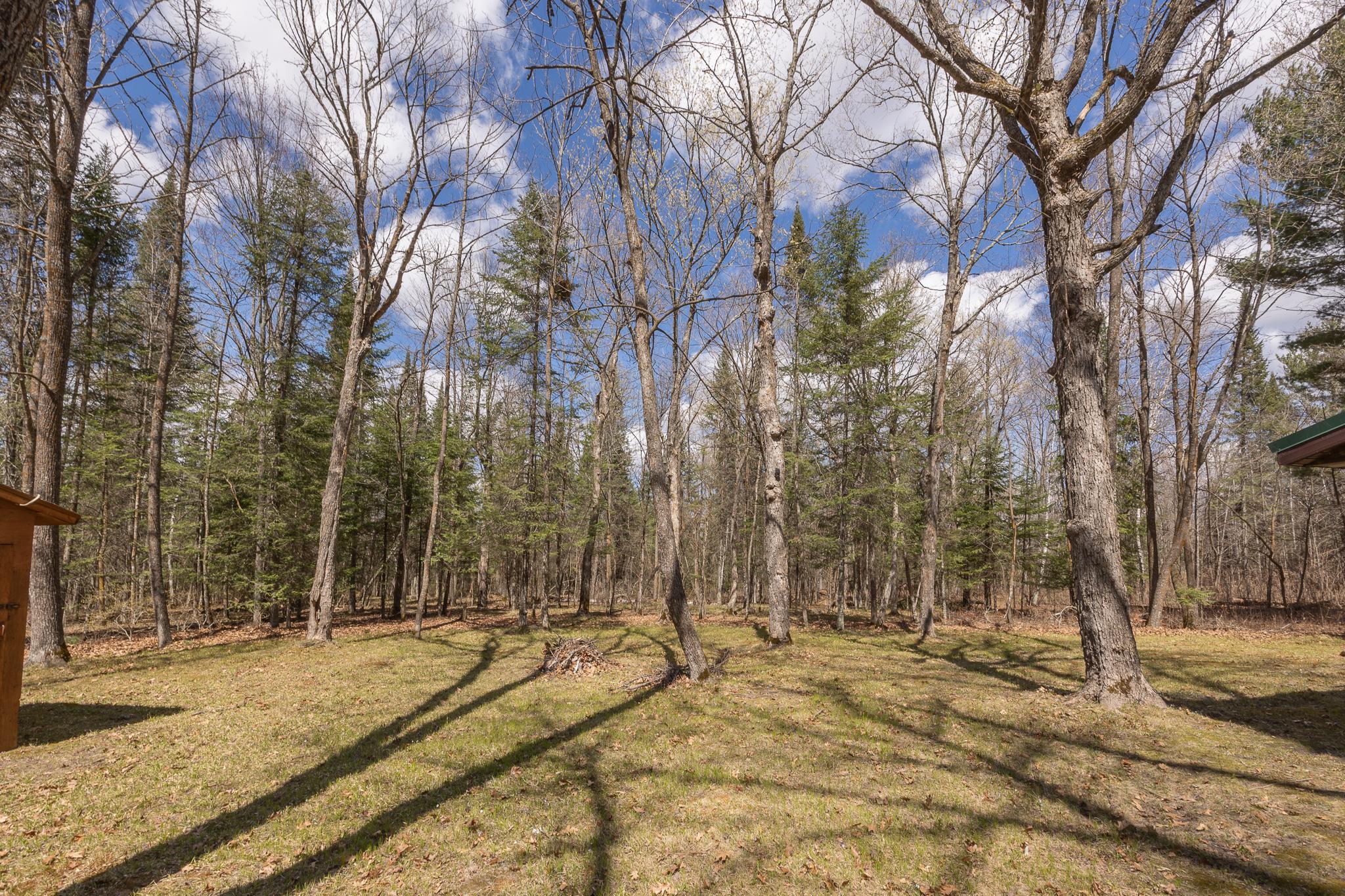 Nice mixture of pines and hardwoods