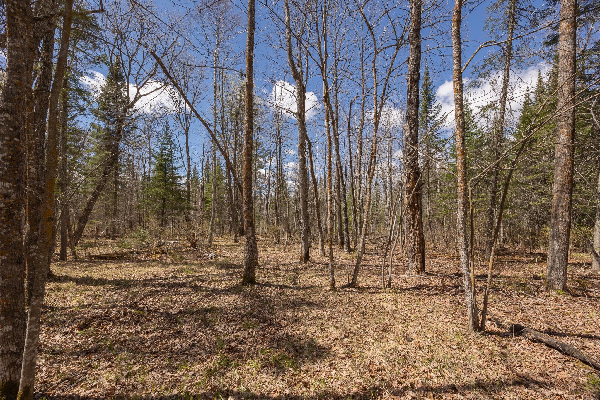 Additional property views