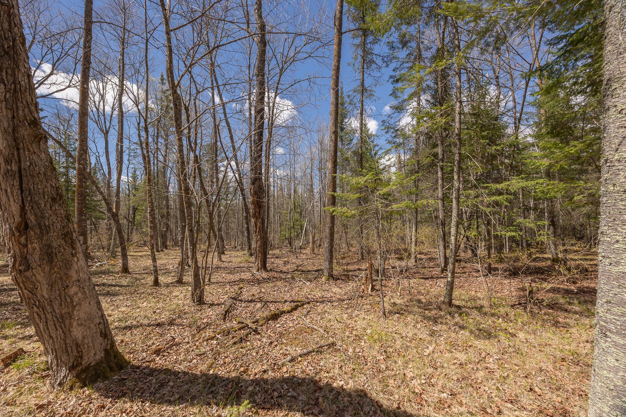 Additional property views
