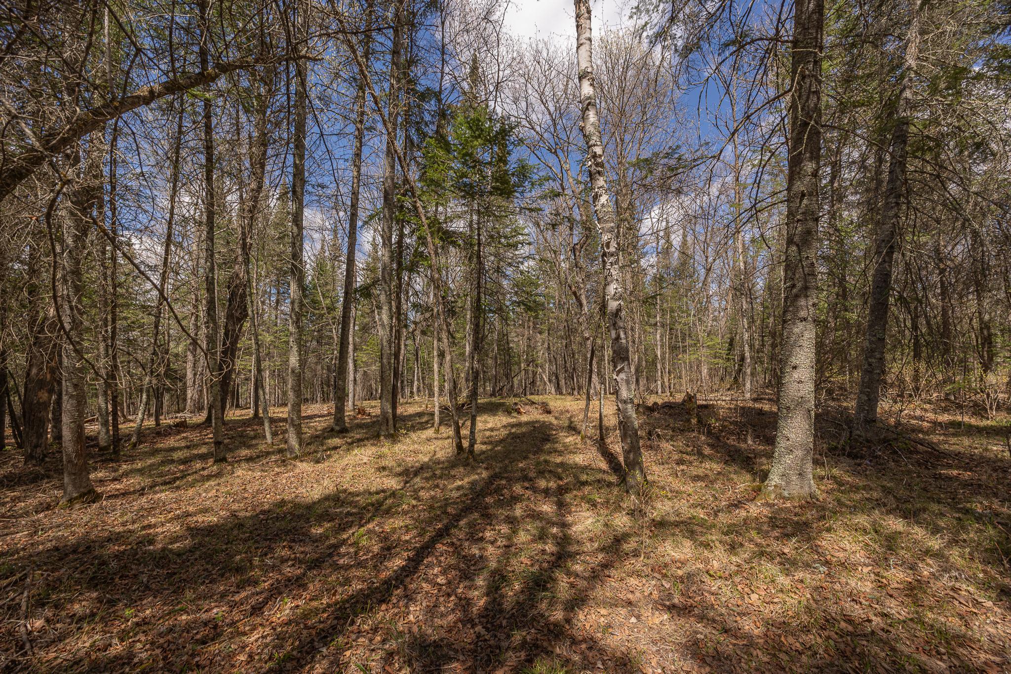 Enjoy the trails through the property