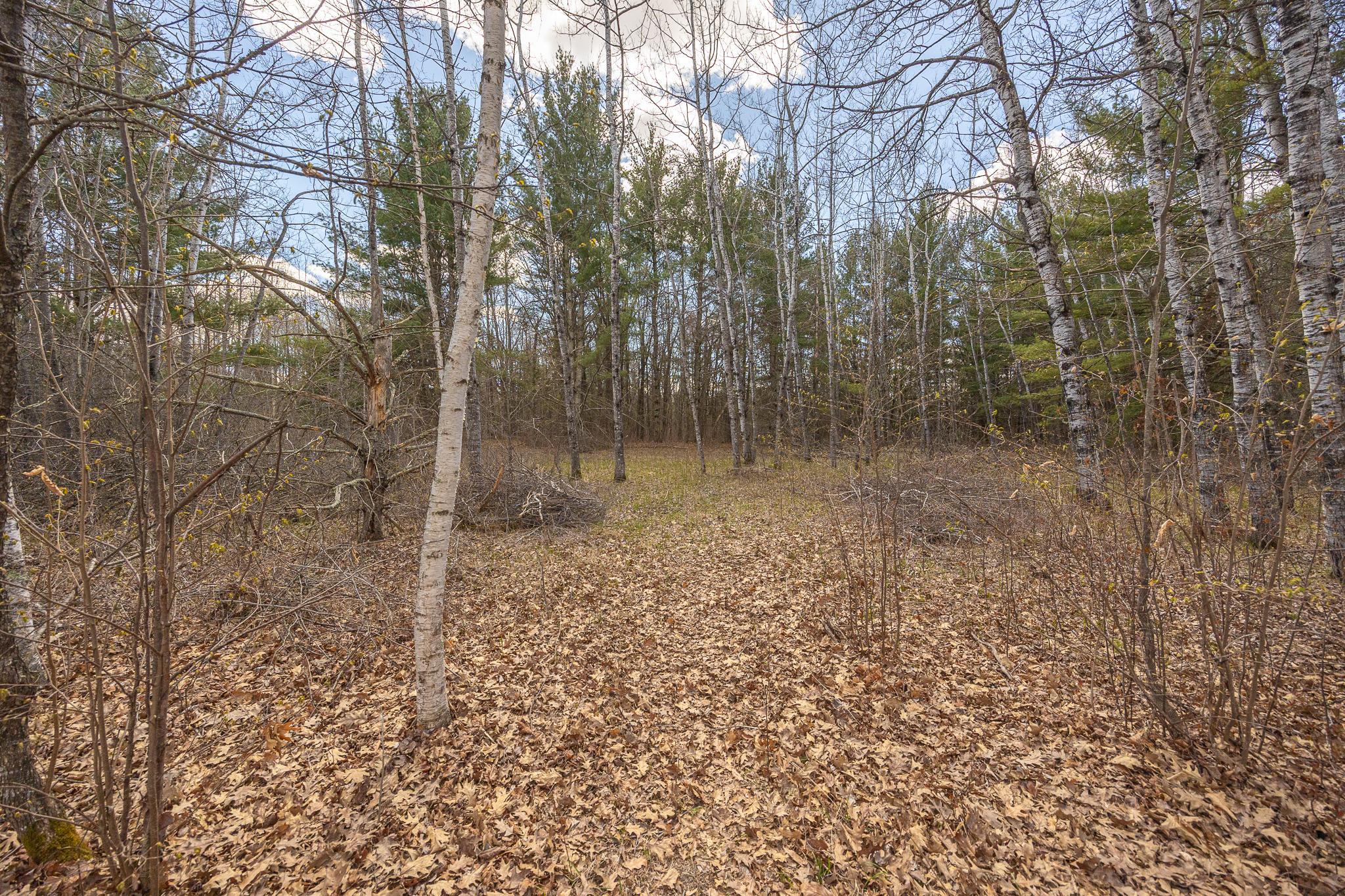 Additional property views
