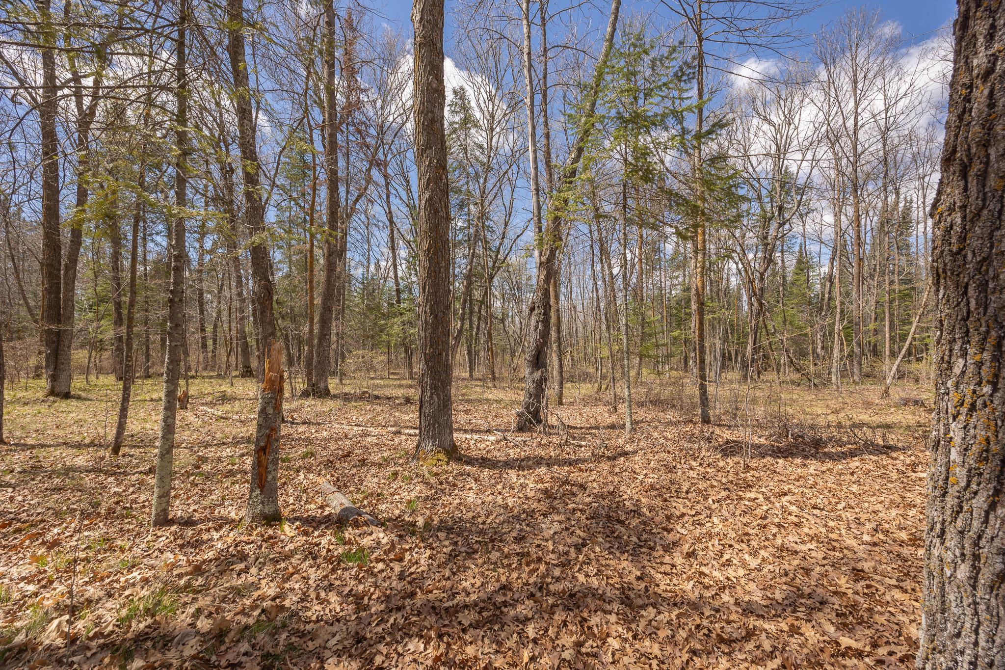 Additional property views