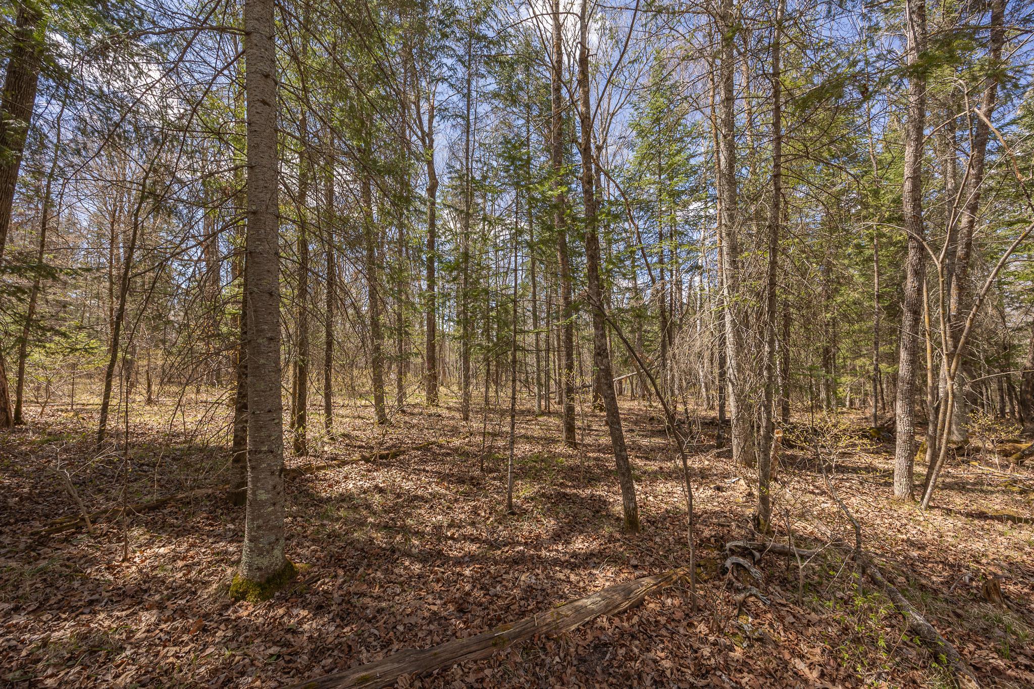 Enjoy the trails through the property