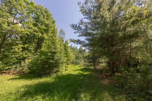 8891 Boy Lake Drive NE, Remer, MN 56672