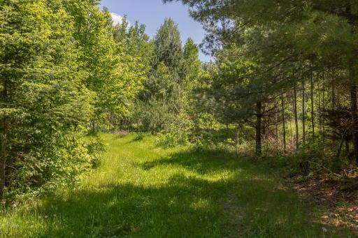 8891 Boy Lake Drive NE, Remer, MN 56672