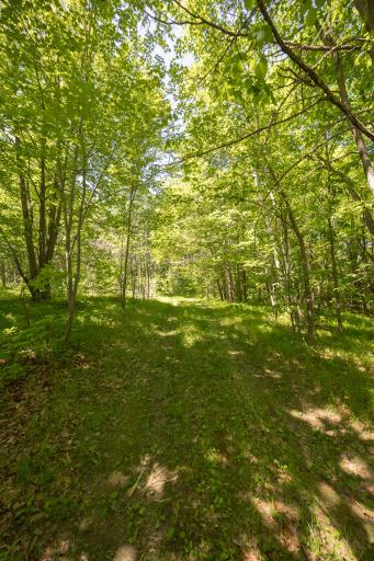 8891 Boy Lake Drive NE, Remer, MN 56672