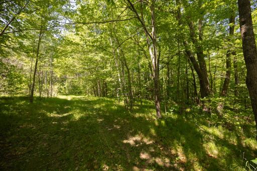 8891 Boy Lake Drive NE, Remer, MN 56672