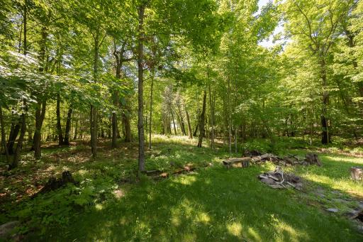 8891 Boy Lake Drive NE, Remer, MN 56672