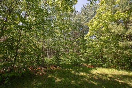 8891 Boy Lake Drive NE, Remer, MN 56672