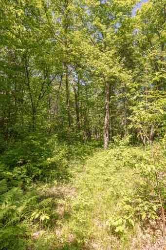 8891 Boy Lake Drive NE, Remer, MN 56672