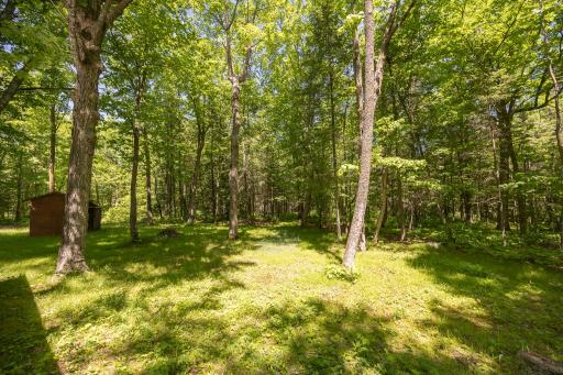 8891 Boy Lake Drive NE, Remer, MN 56672