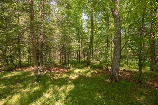 8891 Boy Lake Drive NE, Remer, MN 56672