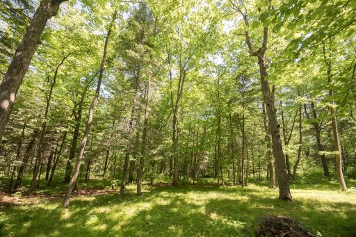 8891 Boy Lake Drive NE, Remer, MN 56672