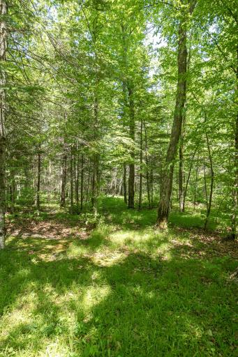 8891 Boy Lake Drive NE, Remer, MN 56672