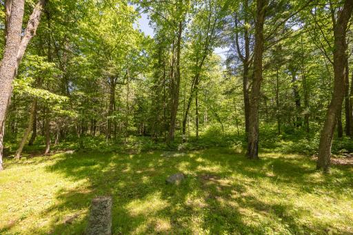 8891 Boy Lake Drive NE, Remer, MN 56672