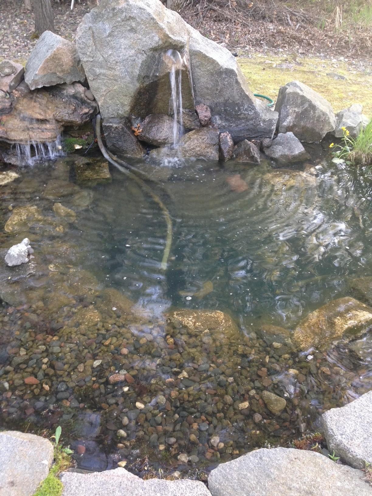 Pond on
