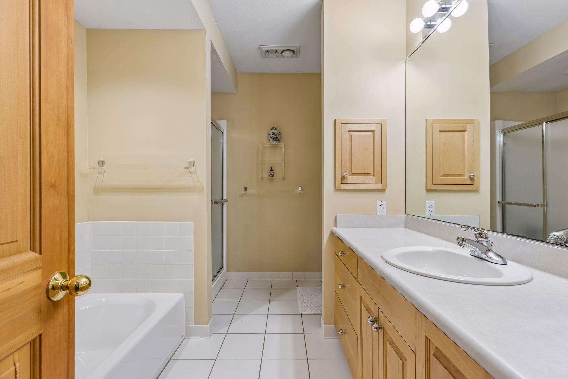 Lower level bathroom tub and shower