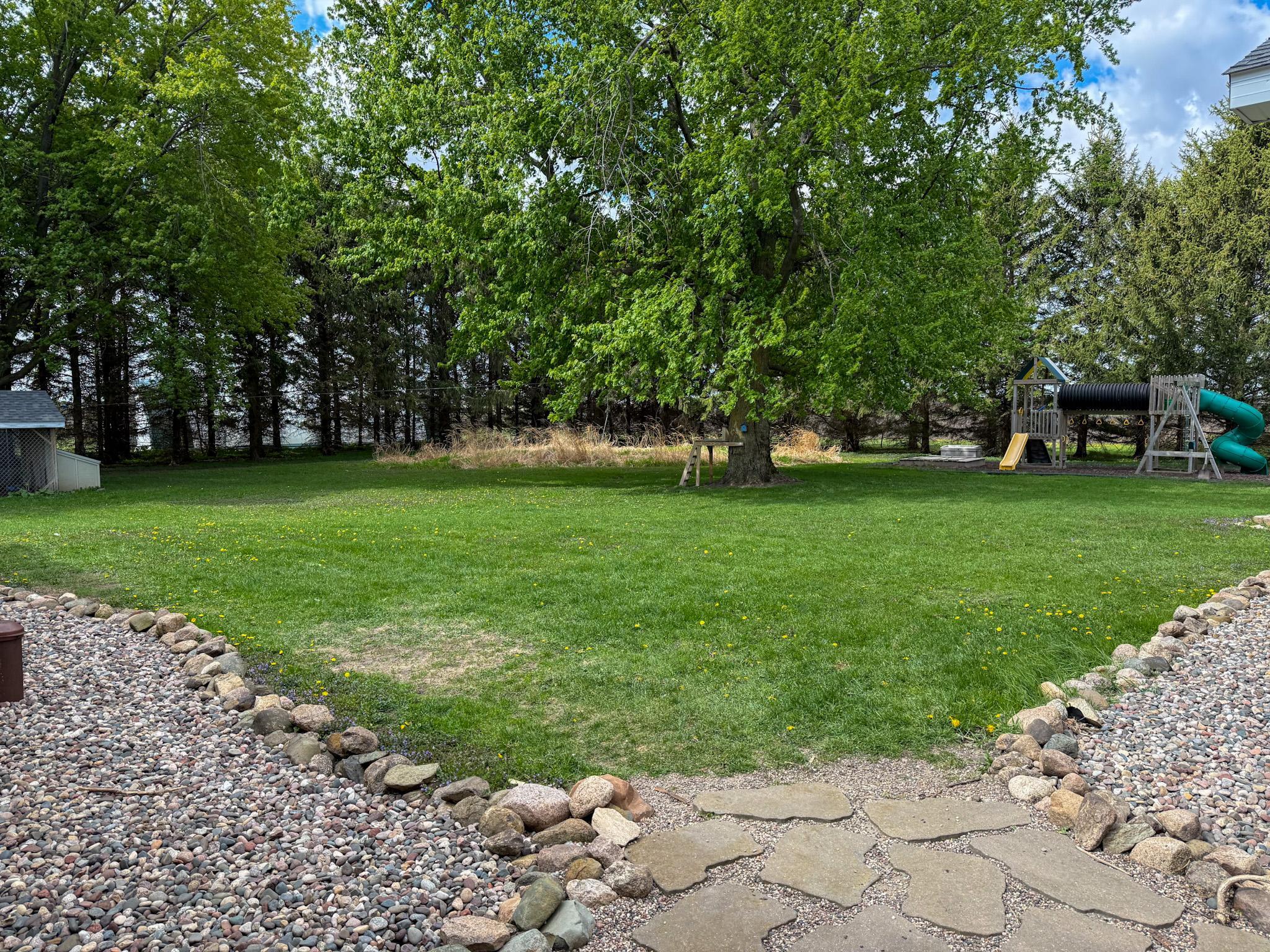 Back yard.jpg