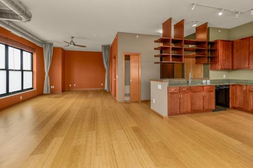 15 E Franklin Avenue, 432, Minneapolis, MN 55404